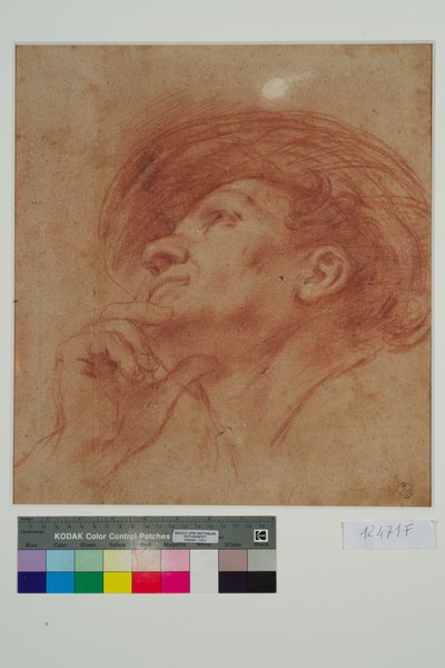Studie für den Kopf des Propheten Haggai von Giovanni Francesco Barbieri
