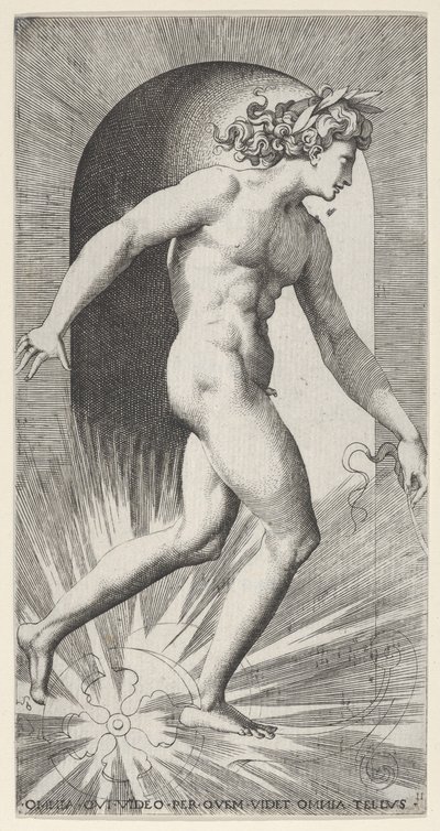Apollo fährt seinen Wagen in einer Nische, nach rechts gewandt, aus einer Serie von mythologischen Darstellungen von Giovanni Jacopo Caraglio