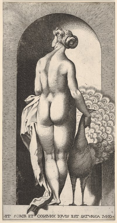 Tafel 4: Juno steht in einer Nische, von hinten betrachtet, streichelt einen Pfau zu ihrer Rechten, fr..., 1526 von Giovanni Jacopo Caraglio