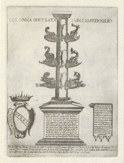 Colonna rostrata von Giovanni Maggi