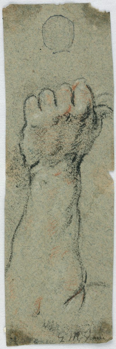 Studie: Ein erhobener Unterarm und linke Hand, die etwas hält von Giovanni Maria Viani