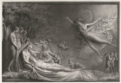 Der Tod des Adonis von Giovanni Martino dei Boni