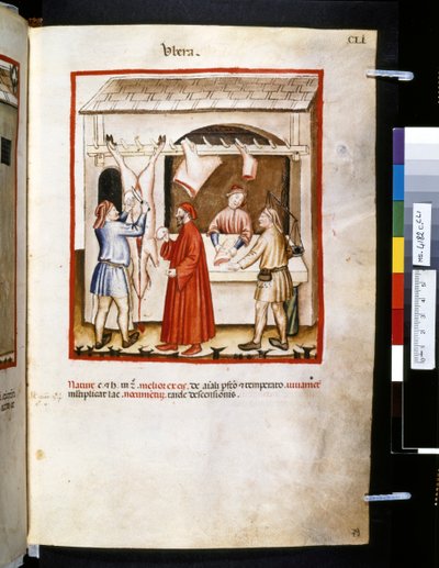 Theatrum sanitatis von Ububchasym de Baldach: 