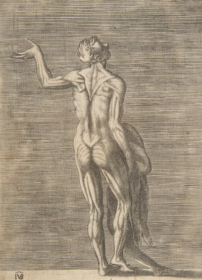 Gehäuteter Mann mit linker Hand auf der Hüfte, hält Haut in der rechten Hand, ca. 1531-76 von Giulio Bonasone