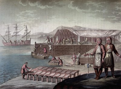 Dorschfang durch die Einwohner von Neufundland - in Le costume ancien et moderne von Ferrario, ed. Mailand von Giulio Ferrario