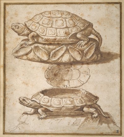 Entwurf für eine Schachtel in Form einer Schildkröte, offen und geschlossen gezeigt von Giulio Romano