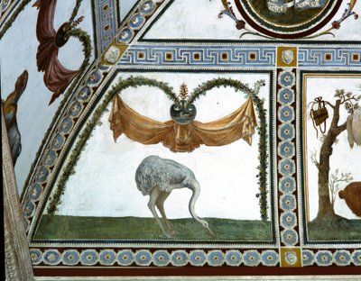 Die Camera con Fregio di Amorini (Detail eines Straußes) von Giulio Romano