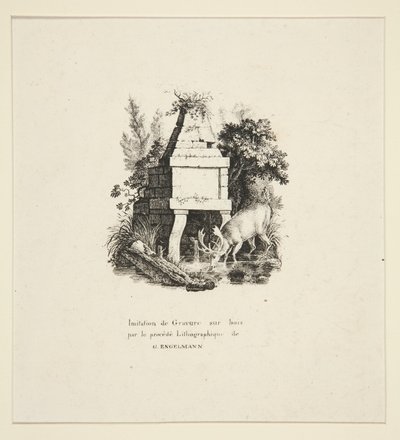 Hirsch trinkt von Godefroy Engelmann