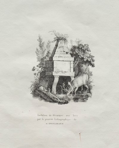 Receuil dessais lithographiques: Eine Fontaine, die den Holzschnitt imitiert, um 1816 von Gottfried or Godefroy Engelmann