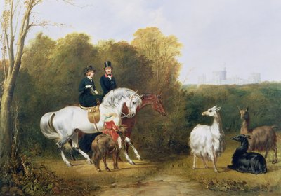Königin Victoria und Prinz Albert betrachten die Lamas im Hauspark, Windsor von Gourlay Steel