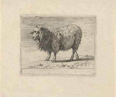 Widder von Govert van der Leeuw