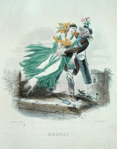 Kräuterhändler stiehlt die Goldlackblume, aus 