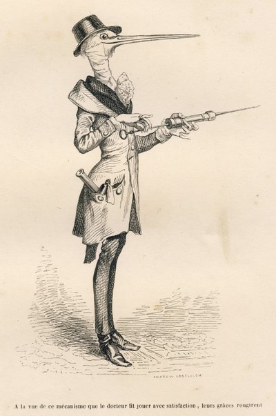 Storch als Arzt, der einen Klistier manipuliert. Vignetten illustriert von JJ Granville. Gravur signiert Andrew, Best und Leloir in der Partie "Peines de cour d