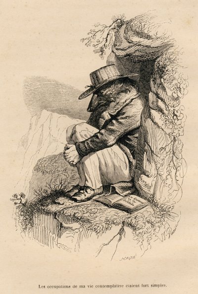 Wolf zurückgezogen in seiner kontemplativen Einsamkeit. Vignetten illustriert von JJ Granville. Gravur signiert Caque im Teil "Der Bär oder Brief geschrieben vom Berg" geschrieben von L. Baude in "Szenen aus dem privaten und öffentlichen Leben der Tiere".  von Grandville