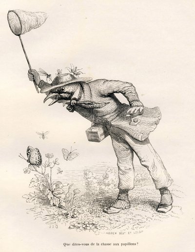 Vogel jagt Schmetterlinge. Vignetten illustriert von JJ Granville. Gravur signiert Andrew, Best und Leloir in dem Teil "Ein Fuchs in der Falle" geschrieben von Charles Nodier in "Szenen aus dem privaten und öffentlichen Leben der Tiere". Paris, J. Hetzel von Grandville