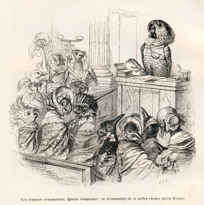 Beredsamer Papagei. Vignetten illustriert von JJ Granville. Gravur signiert Porret im Teil "Esel-Führer für Tiere, die zu Ehren gelangen wollen" geschrieben von Honore De Balzac in "Szenen aus dem privaten und öffentlichen Leben der Tiere" von Grandville