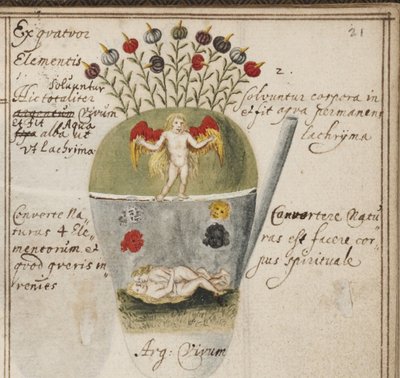 Alchemistisches Notizbuch von Grasshoff