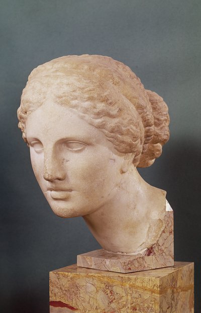 Der Kauffmann-Kopf, Kopf der Aphrodite, Kopie der Aphrodite von Knidos von Praxiteles (ca. 150 v. Chr.) von Greek