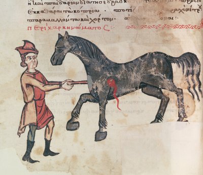 Ms Grec 2244 fol.37v Operation an einem Pferd von Greek School