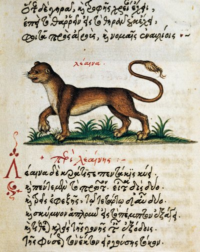 Abhandlung über den Löwen, Text und Miniatur aus De animalium natura et proprietate libellus, von Aelianus (2.-3. Jahrhundert n. Chr.) von Greek School