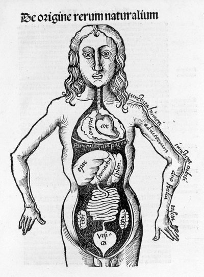 Abschnitt des menschlichen Körpers - in „Margarita Philosophica“ von Gregor Reisch (1467-1525), Basel 1517 von Gregor Reisch