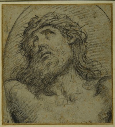 Kopf und Schultern des lebenden gekreuzigten Christus von Guido Reni