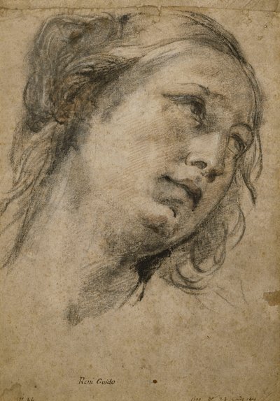 Kopf einer Frau, die nach rechts oben schaut von Guido Reni