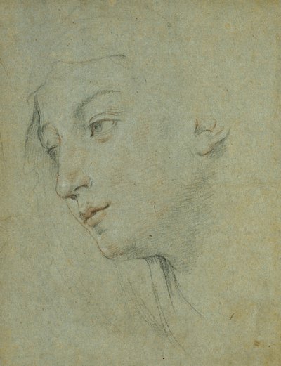 Der Kopf einer Frau, die nach links unten schaut von Guido Reni