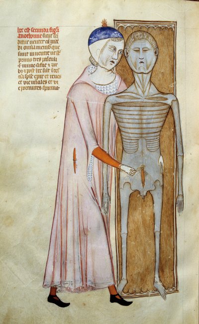 Medizin: Anatomie- und Chirurgie-Tafel, die eine Dissektionsszene darstellt. Seite aus dem Manuskript „Liber notabilium Philippi septimi francorum regis, a libris Galieni extractus“ von Gui de Pavie von Guido da Vigevano da Pavia