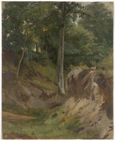 Trockener Bach im Wald von Guillaume Anne van der Brugghen
