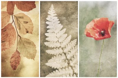 Vintage Natur Trio von Gustav Davidsson