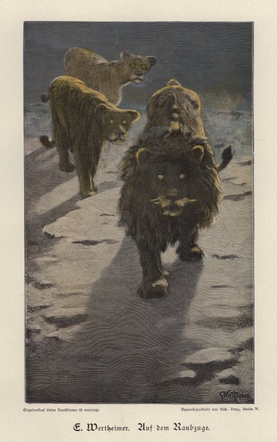 Auf dem Überfall von Gustav Wertheimer