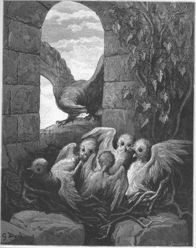 Der Adler und die Eule - aus 