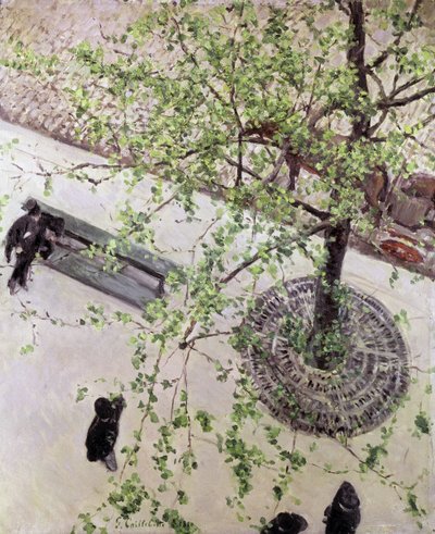 Boulevard von oben gesehen, 1880 von Gustave Caillebotte