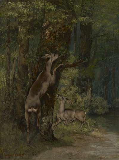 Hirsche im Wald von Gustave Courbet