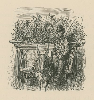 Ein Mann, der einen mit Pflanzen und Blumen beladenen Wagen fährt von Gustave Dore