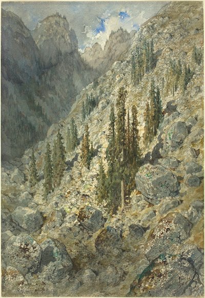 Ein alpines Tal mit Bäumen und Felsen von Gustave Dore