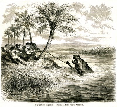 Jagd am Fluss Teoghe, einem Nebenfluss des Ngami. Flusspferd-Harpune. Gravur von Gustave Doré, die die Abenteuer und Jagden des Reisenden Charles-Jean Anderson im südlichen Afrika illustriert, veröffentlicht im Journal Le Tour du Monde von Gustave Dore