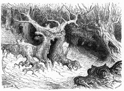 Monströse Buche im Ossau-Tal, anthropomorphe Monsterbäume. Gravur von Gustave Doré zur Illustration des Buches „Voyage aux Pyrénées“ von Hippolyte Taine, Hachette 1860. von Gustave Dore