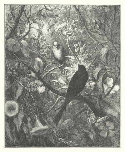 Die Fabeln von La Fontaine: Philomel und Progne von Gustave Dore