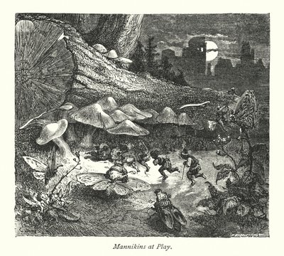 Das Schloss der Männchen (Gravur) von Gustave Dore