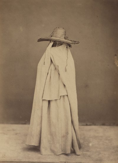 Algerische Frau von Gustave de Beaucorps