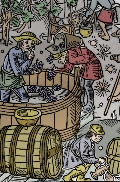 Ernte - Weinlese - Schäferkalender - Die Arbeiten der Monate - Oktober - Holzschnitt aus dem Buch von 1496, gedruckt von Guy Marchant (Guido Mercator) in Troyes - Holzgravur in "Le grand Calendrier et compost des shepherds" - Die Ernte - und die von Guy Marchant