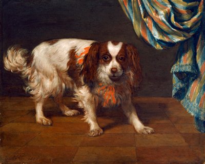 Ein King Charles Spaniel von Gysbert van de Kuyl