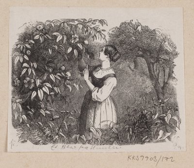 Illustration zu "Ein Blatt vom Himmel" in H.C. Andersen, "Märchen und Geschichten", Band 2 von H.P. Hansen