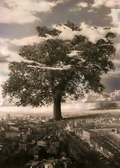 Der Baum in Islington von Hag Hag