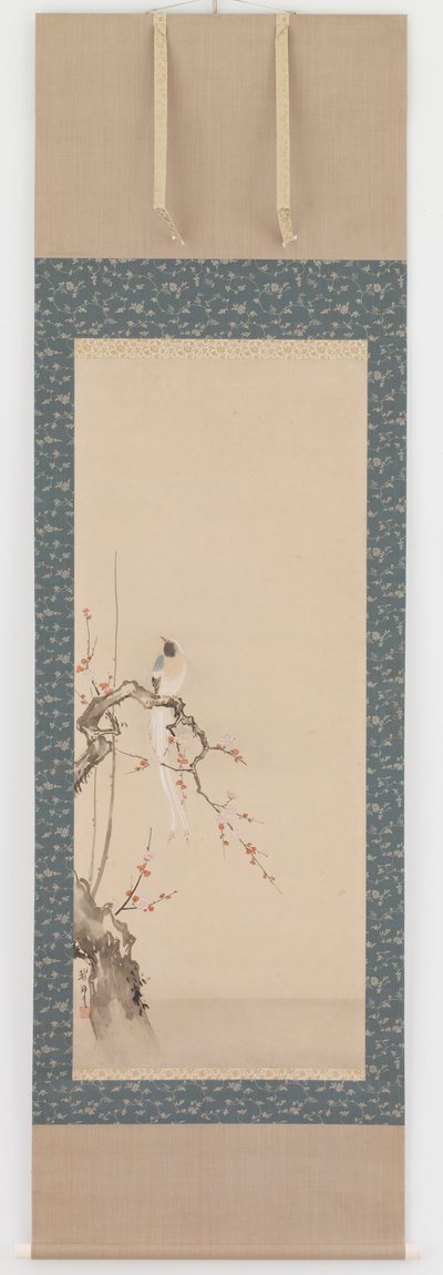Vogel und Pflaumenblüten, Edo-Zeit, spätes 17. Jahrhundert von Hanabusa Itcho