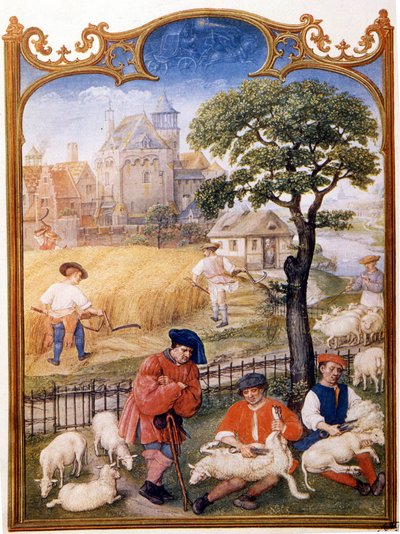 Feldarbeit, Schafe scheren und Bauern mähen Weizen. Miniatur zugeschrieben an Memling. Platte aus dem Breviaire Grimani des 15. Jahrhunderts. Biblioteca Marciana, Venedig von Hans (attr.to) Memling