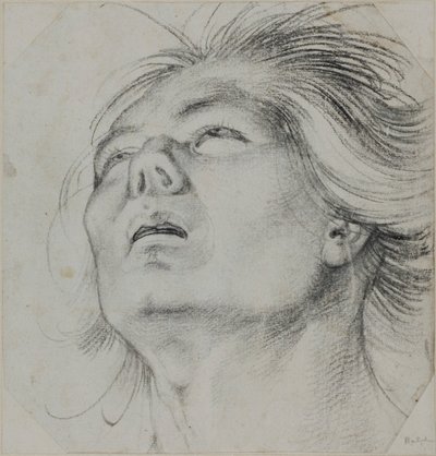 Kopf eines jungen Mannes, von unten gesehen von Hans Baldung Grien