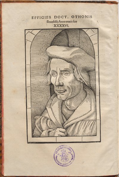 Annotationes Othonis Brunfelsii...in quatuor Euangelia & Acta Apostolorum... von Hans Baldung Grien, Otto Brunfels